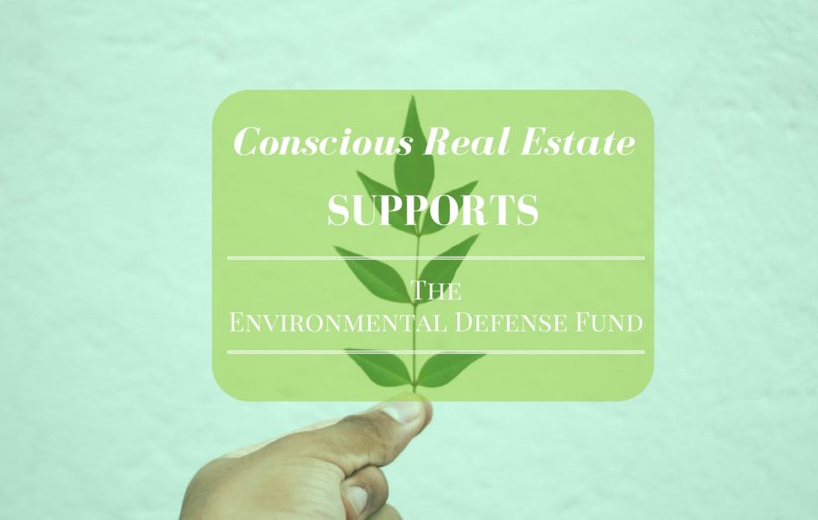 nonprofits for the environment, conscious real estate, denver real estate market, denver real estate agent, kimberly mcaleenan