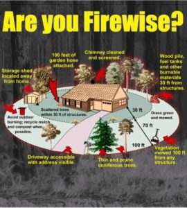 firewise-infographic