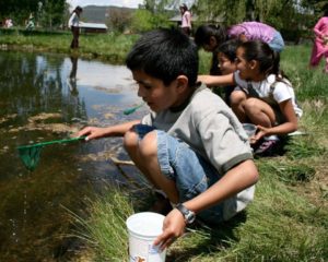 colorado-alliance-for-environmental-education