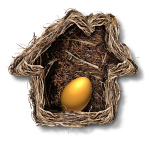 Home finances and residential equity symbol as a bird nest shaped as a family house with a gold egg inside as a metaphor for financial security planning and investing in real estate for retirement freedom.