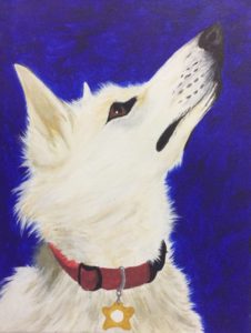 pet-portrait-3