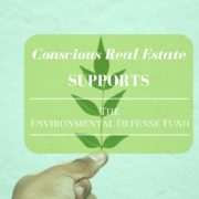 nonprofits for the environment, conscious real estate, denver real estate market, denver real estate agent, kimberly mcaleenan