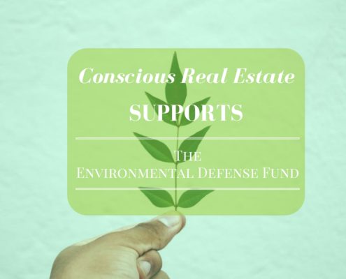 nonprofits for the environment, conscious real estate, denver real estate market, denver real estate agent, kimberly mcaleenan
