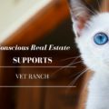 vet ranch, conscious real estate, real estate agency in Denver, Denver real estate company, real estate agency in denver, denver housing market
