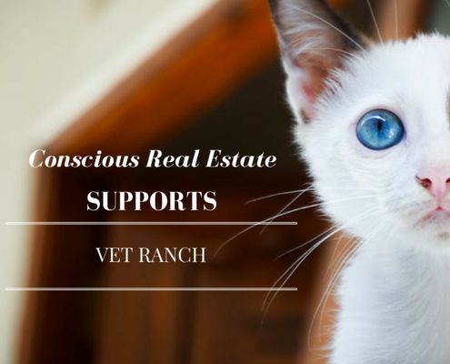 vet ranch, conscious real estate, real estate agency in Denver, Denver real estate company, real estate agency in denver, denver housing market