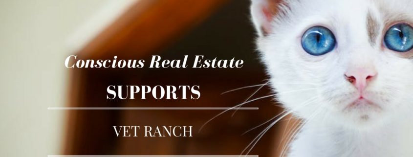 vet ranch, conscious real estate, real estate agency in Denver, Denver real estate company, real estate agency in denver, denver housing market